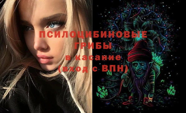 дмт Алексеевка
